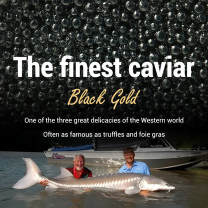 Beluga caviar from Russia-LTT
