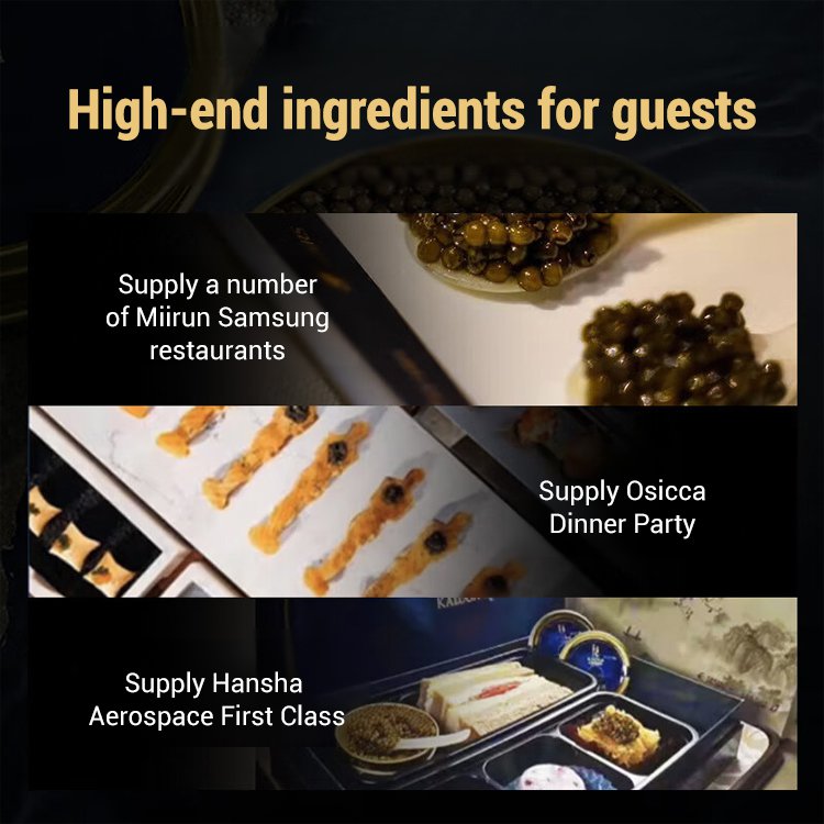 Beluga caviar from Russia-LTT