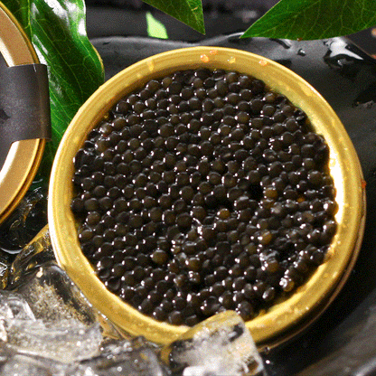 Beluga caviar from Russia-LTT